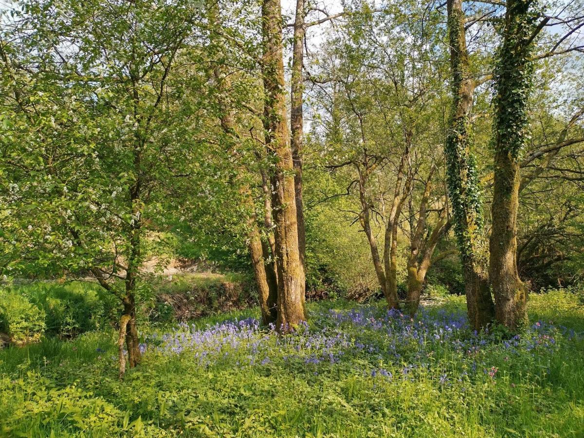 Готель Oak Tree Farm Llanfynydd Екстер'єр фото